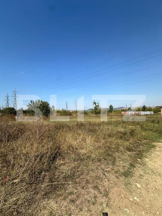 Teren de vânzare Cetate - 139115TV | BLITZ Alba Iulia | Poza2