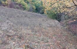 Teren extravilan, 5676 mp, zona Ramet