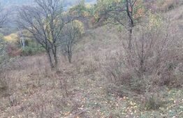 Teren extravilan, 5676 mp, zona Ramet