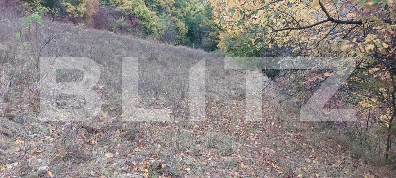 Teren de vânzare Exterior Nord - 139152TV | BLITZ Alba Iulia | Poza2