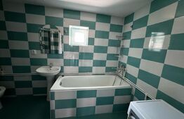 Casa individuala 3 dormitoare, bucatarie, teren 216 mp teren in Abrud