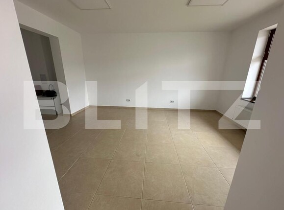 Spațiu comercial de închiriat Ampoi 2 - 139504SIC | BLITZ Alba Iulia | Poza4