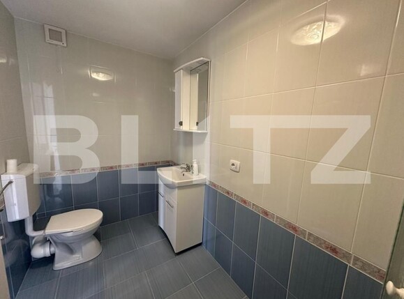 Spațiu comercial de închiriat Ampoi 2 - 139504SIC | BLITZ Alba Iulia | Poza6
