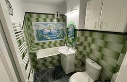 Apartament 2 camere, 55mp , etaj intermediar, zona- Cetate Piata