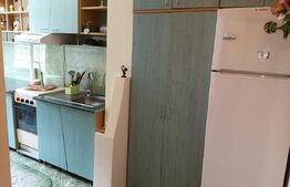 Garsoniera, 24mp, zona centrala 