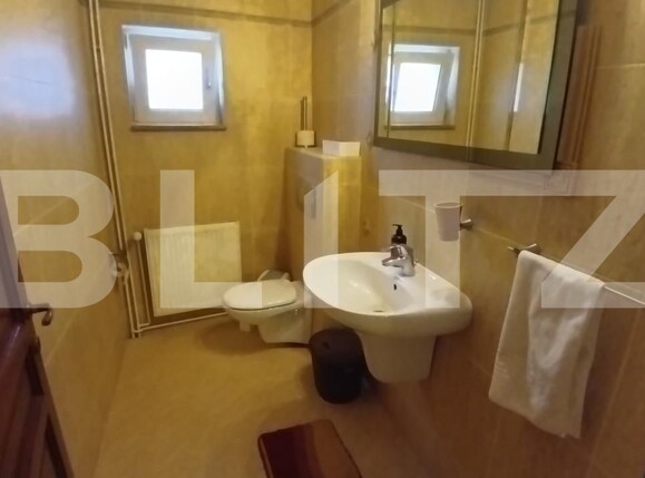 Casa de vânzare 7 camere Cetate - 140441CV | BLITZ Alba Iulia | Poza19