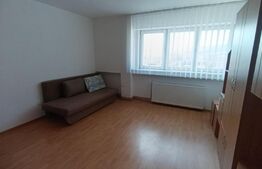 Garsoniera de vanzare, 30 mp, zona Cetate M-uri