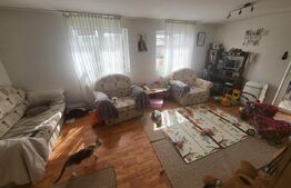 Apartament la casa, 3 camere, 120 mp, Garaj, zona Alba-Micesti