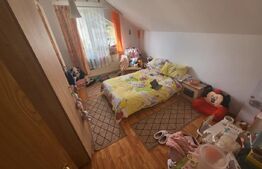 Apartament la casa, 3 camere, 120 mp, Garaj, zona Alba-Micesti