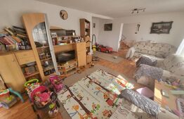 Apartament la casa, 3 camere, 120 mp, Garaj, zona Alba-Micesti