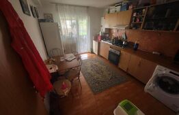 Apartament la casa, 3 camere, 120 mp, Garaj, zona Alba-Micesti