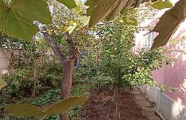 Apartament 2 camere, la casa, decomandat, zona Cetate