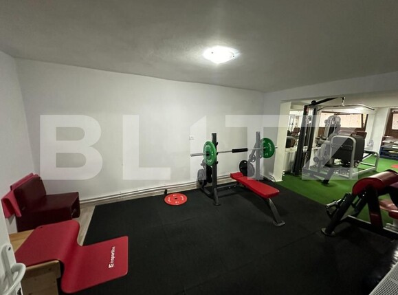 Spațiu comercial de vânzare Tolstoi - 141786SVC | BLITZ Alba Iulia | Poza3