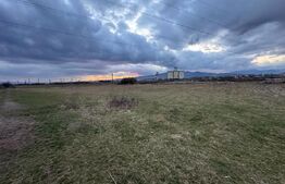 Teren extravilan 5000 mp, zona de Centura 