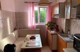 Ansamblu rezidential 540 mp + teren 3800 mp, com Galda de Jos