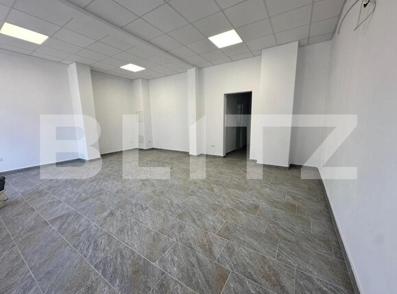 Spațiu comercial de închiriat Industrială - 142168SIC | BLITZ Alba Iulia | Poza4