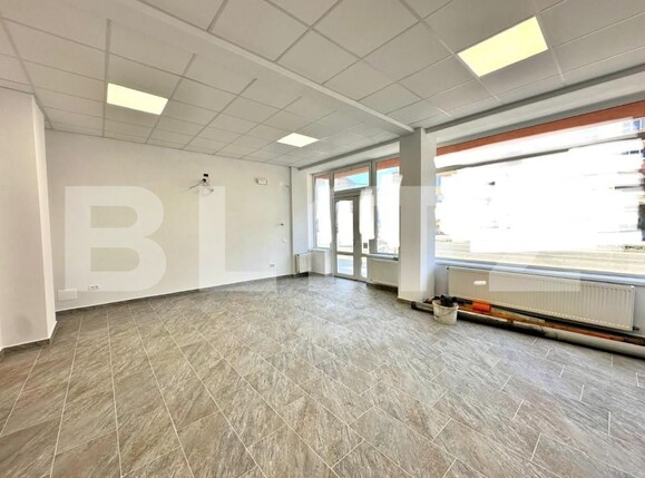 Spațiu comercial de închiriat Industrială - 142168SIC | BLITZ Alba Iulia | Poza1