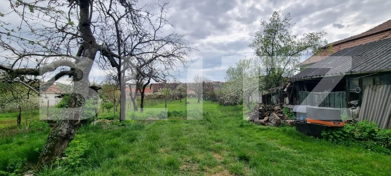 Casa de vânzare 3 camere Exterior Nord - 143076CV | BLITZ Alba Iulia | Poza2