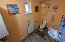 Casa cu 5 camere, teren cu 618 mp, Lunca Ampoitei