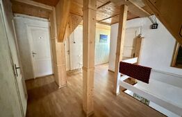 Casa de vacanta la munte, 354 mp utili, teren cu 2930 mp, zona Ighiel