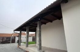 Doua case in duplex pe un singur nivel, 260 mp, 1300 mp teren, Sard