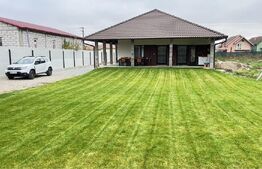 Doua case in duplex pe un singur nivel, 260 mp, 1300 mp teren, Sard