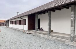 Doua case in duplex pe un singur nivel, 260 mp, 1300 mp teren, Sard