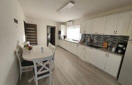 Doua case in duplex pe un singur nivel, 260 mp, 1300 mp teren, Sard