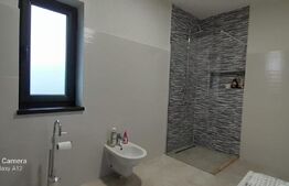 Doua case in duplex pe un singur nivel, 260 mp, 1300 mp teren, Sard