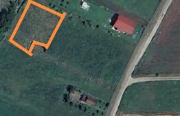 Teren intravilan 1616 mp curent apa gaz Zona Partos