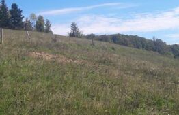 Teren partial intravilan 7 ha in Muntii Apuseni com. Sohodol