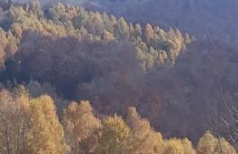 Teren partial intravilan 7 ha in Muntii Apuseni com. Sohodol