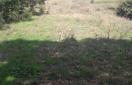 Teren partial intravilan 7 ha in Muntii Apuseni com. Sohodol