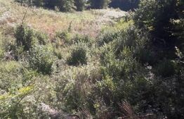 Teren partial intravilan 7 ha in Muntii Apuseni com. Sohodol