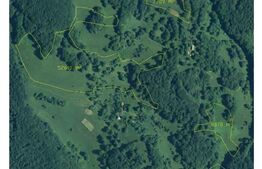 Teren partial intravilan 7 ha in Muntii Apuseni com. Sohodol