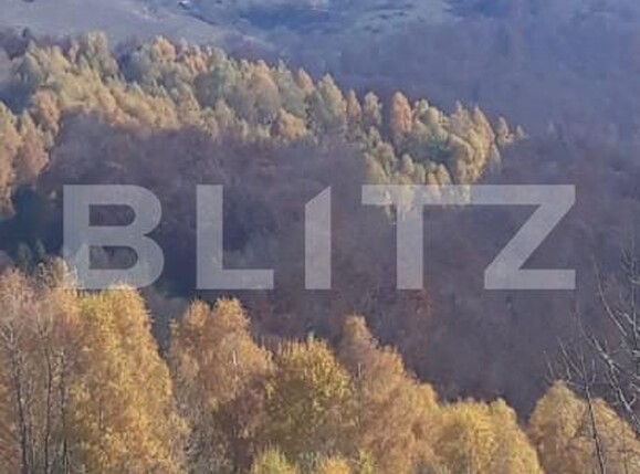 Teren de vânzare Exterior Nord - 143095TV | BLITZ Alba Iulia | Poza2