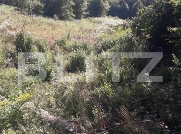 Teren de vânzare Exterior Nord - 143095TV | BLITZ Alba Iulia | Poza5