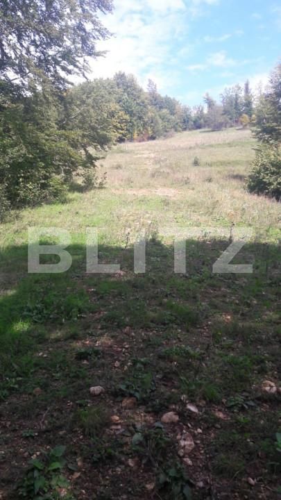 Teren de vânzare Exterior Nord - 143095TV | BLITZ Alba Iulia | Poza3