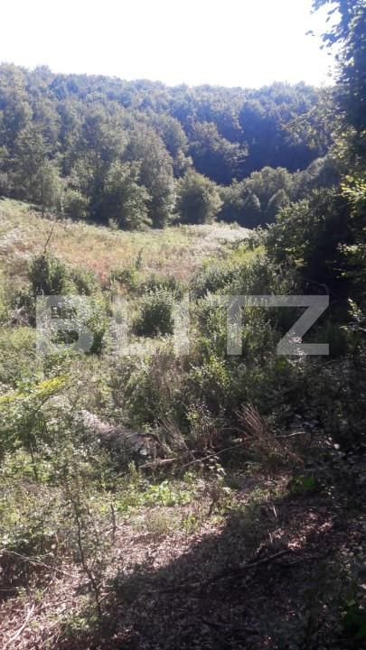 Teren de vânzare Exterior Nord - 143095TV | BLITZ Alba Iulia | Poza5