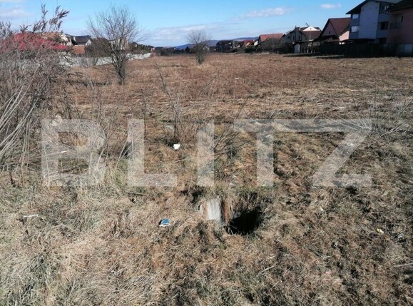 Teren de vânzare Cetate - 143096TV | BLITZ Alba Iulia | Poza1