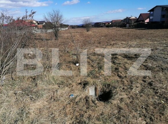 Teren de vânzare Cetate - 143096TV | BLITZ Alba Iulia | Poza3
