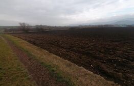 Teren intravilan 21300 mp zona Vintu de Jos