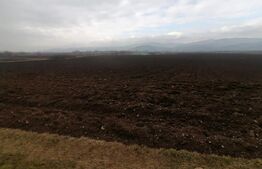 Teren intravilan 21300 mp zona Vintu de Jos