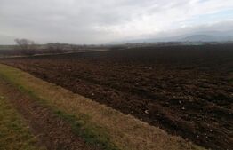 Teren extravilan 21300 mp zona Vintu de Jos