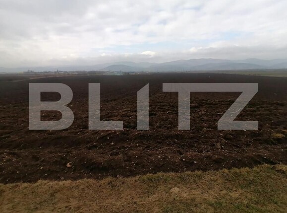 Teren de vânzare Exterior Vest - 143097TV | BLITZ Alba Iulia | Poza4