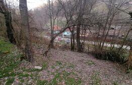 Teren intravilan 2900 mp in Zona Presaca Ampoiului