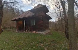 Teren intravilan 2900 mp in Zona Presaca Ampoiului