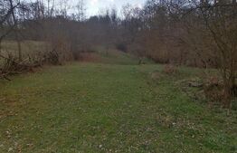 Teren intravilan 2900 mp in Zona Presaca Ampoiului