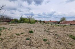 Teren Intravilan 2100 mp Micesti