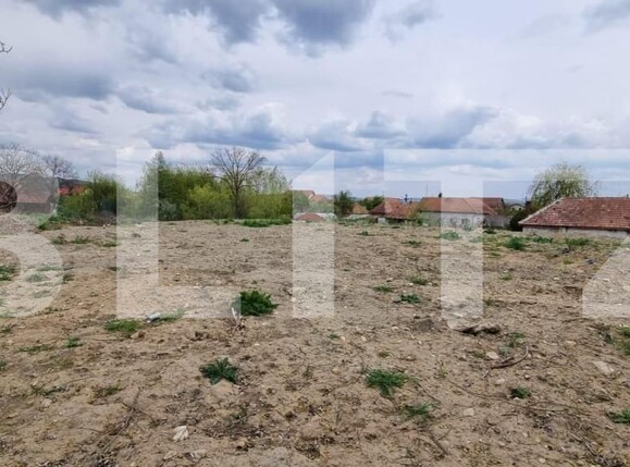 Teren de vânzare Micești - 143101TV | BLITZ Alba Iulia | Poza1